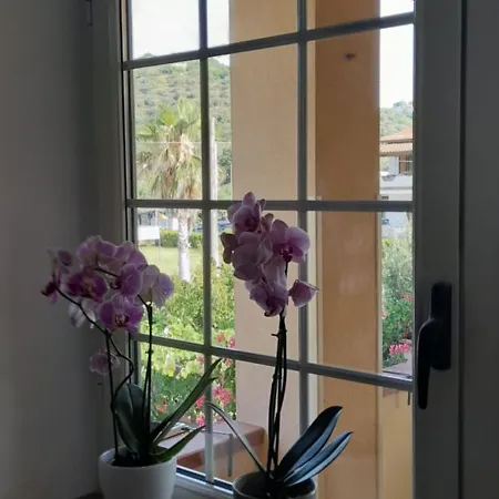La Casa Di Nonna Anna