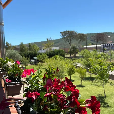 La Casa Di Nonna Anna Castellabate
